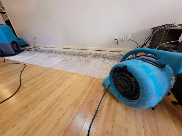Professional Sewage Cleanup technician working in Jeddo, MI